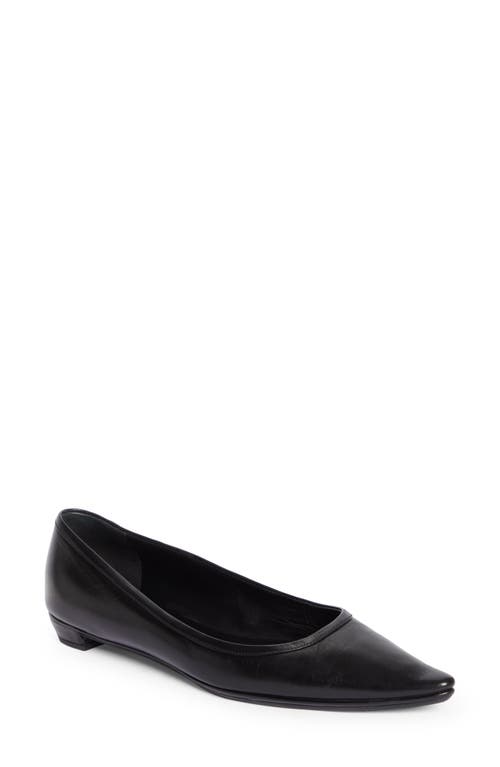 The Row Claudette Pointed Toe Ballet Flat at Nordstrom,