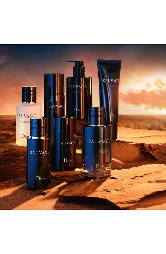 DIOR DIOR SAUVAGE EAU DE PARFUM