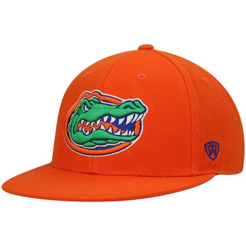 Mitchell & Ness Royal Florida Gators Team Pinstripe Snapback Hat