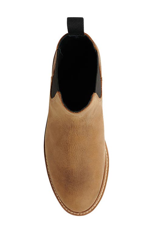 Nisolo Water Resistant Lug Sole Chelsea Boot In Tobacco