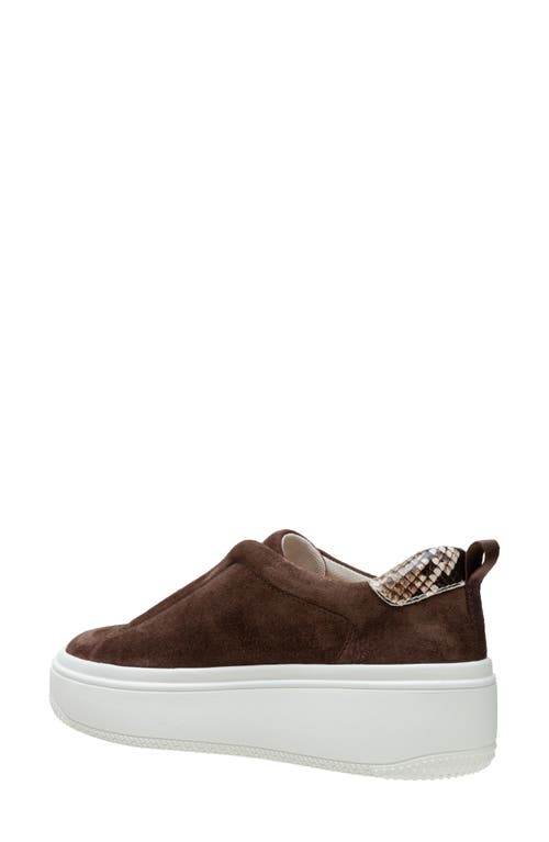 Linea Paolo Golde Platform Sneaker In Chocolate Brown/brown