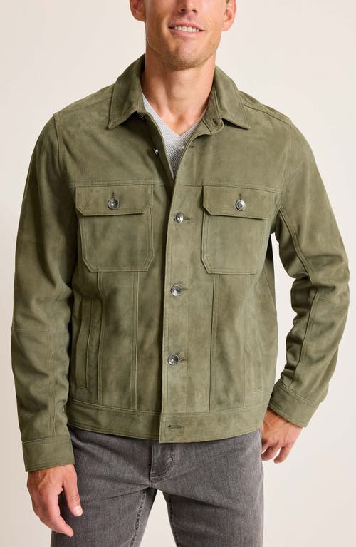 Shop Tommy Bahama Pine Lake Suede Trucker Jacket In Beetle Green