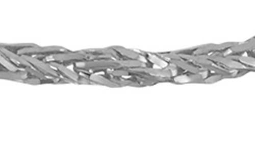 Fzn Sterling Silver Foxtail Chain Necklace In White