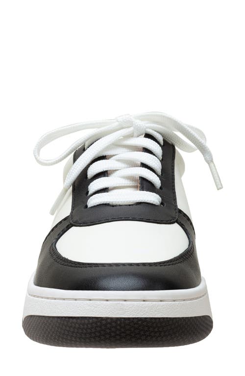 Shop Linea Paolo Krista Sneaker In Eggshell/black