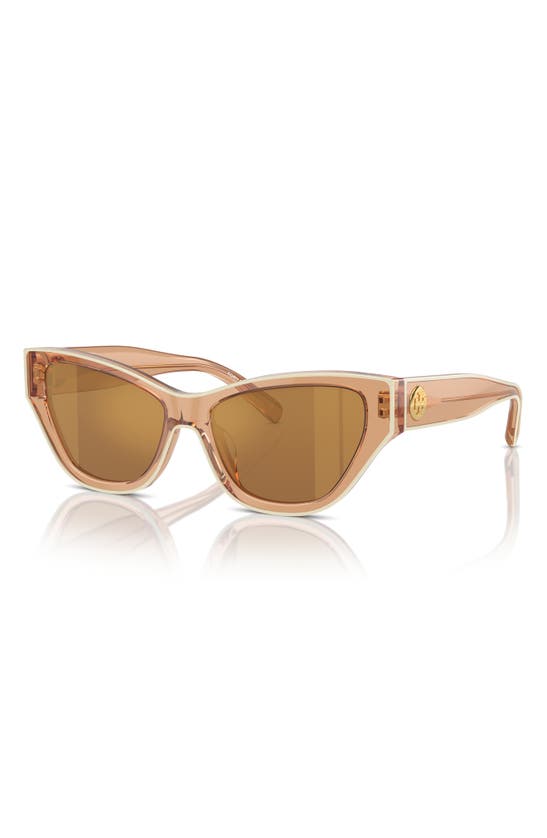 Tory Burch 54mm Cat Eye Sunglasses In Brown