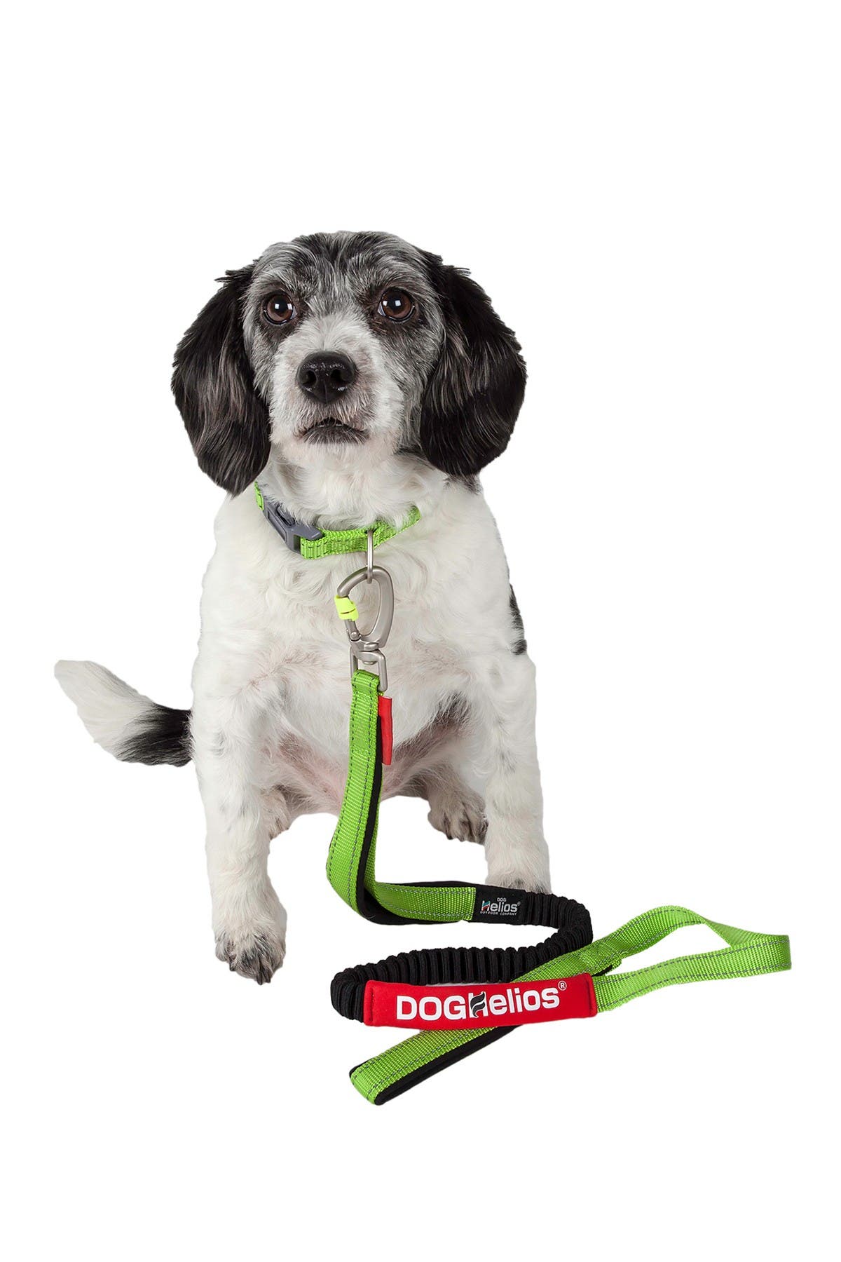 indestructible dog leash