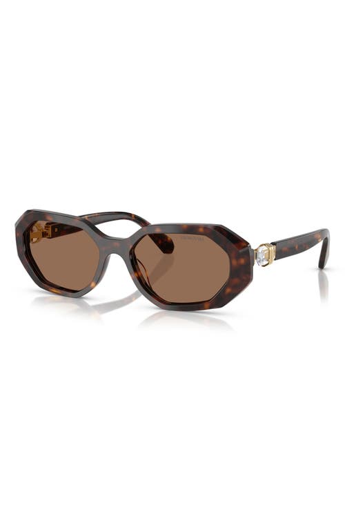 Swarovski 54mm Irregular Sunglasses In Dark Havana