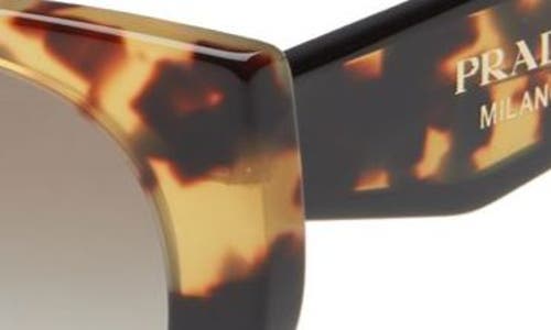 Prada Oversized Acetate Cat-eye Sunglasses In Black/tortoise/grey Gradient