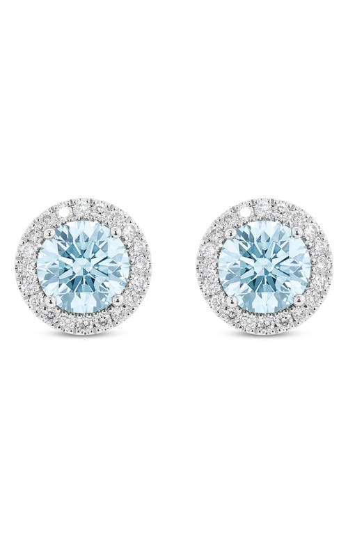 2-Carat Lab Grown Diamond Halo Stud Earrings in Blue/14K White Gold