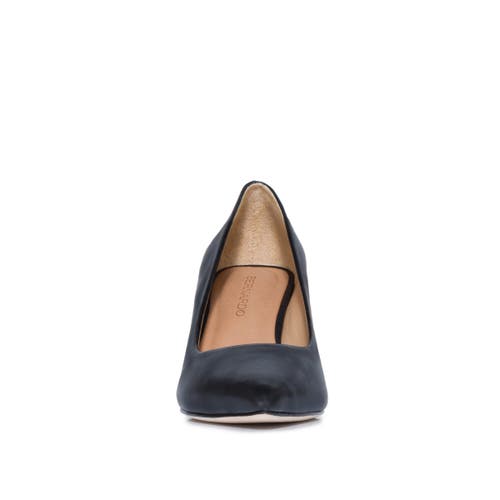 Shop Bernardo Footwear Giselle Pointed Toe Pump In Black