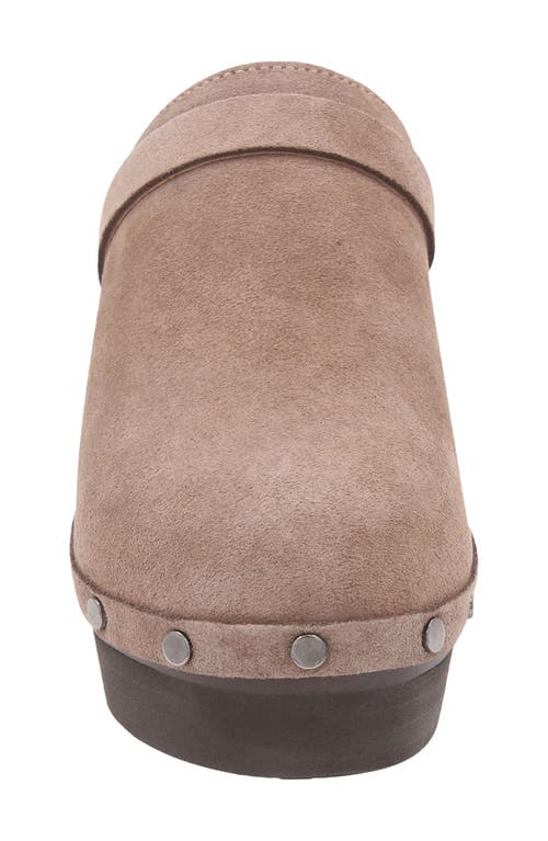 Andre Assous Women's Olivia Studded Clogs In Desert Taupe