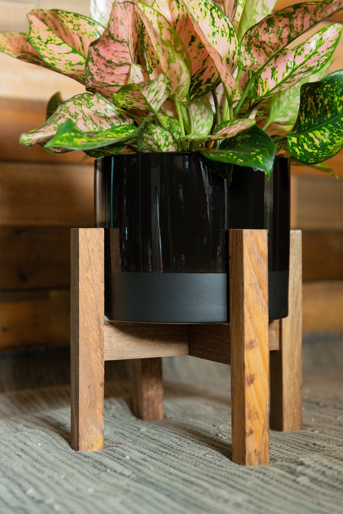 Flora Bunda 8" Large Two-tone Pot On Wood Stand In Black