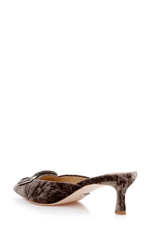 BADGLEY MISCHKA BADGLEY MISCHKA COLLECTION ABIGAYL POINTED TOE MULE 