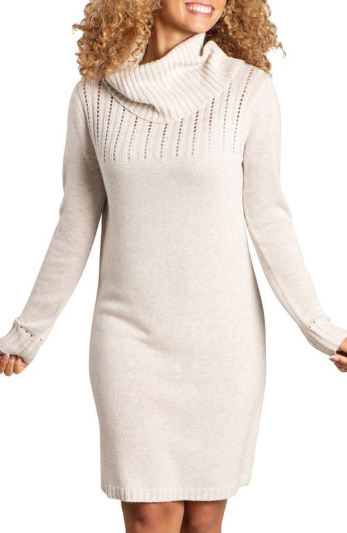 Chelsea II Long Sleeve Turtleneck Sweater Dress in Oatmeal