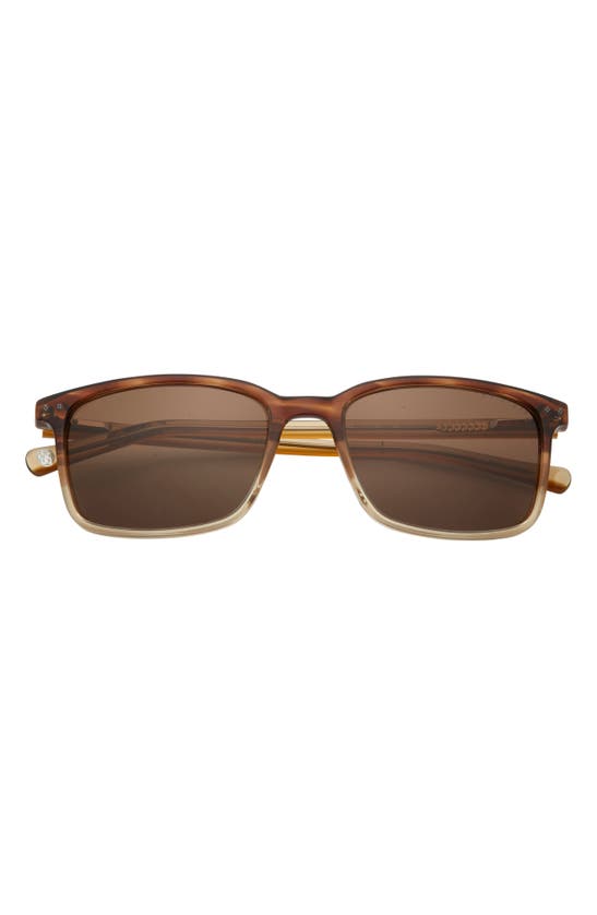 Ted Baker 55mm Full Rim Rectangle Polarized Sunglasses In Brown