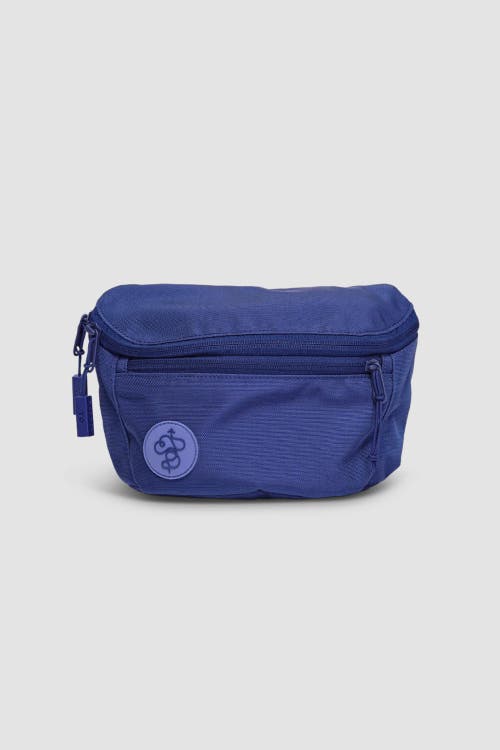 Shop Baboon To The Moon Fannypack 3l In Navy