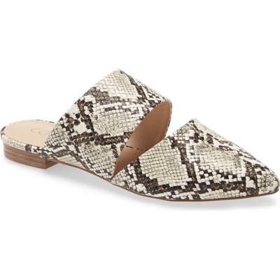 Coconuts By Matisse Shay Mule- White
