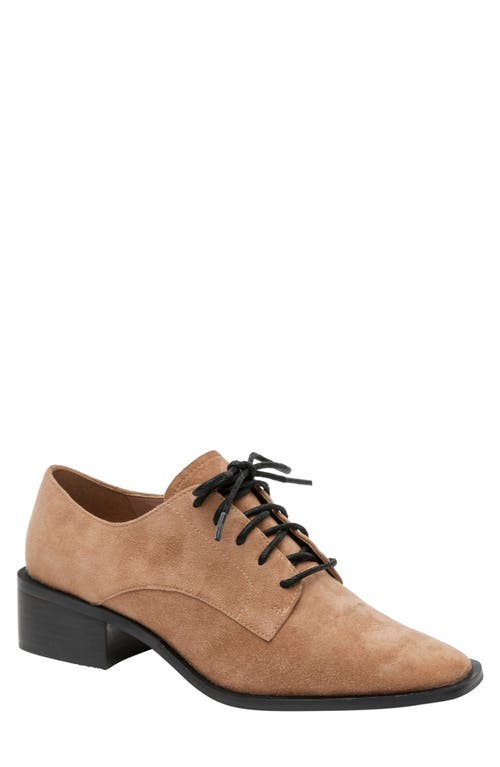 Linea Paolo Moritz Lace-Up Pump in Whiskey