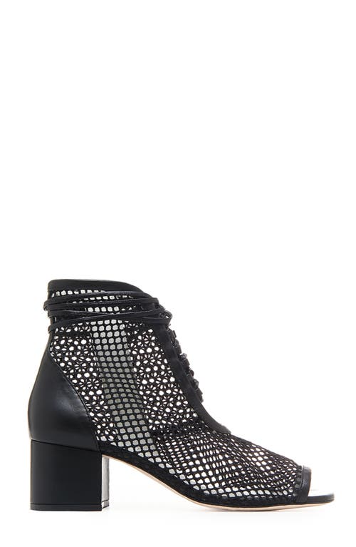 Daniella Shevel Nola Bootie In Black