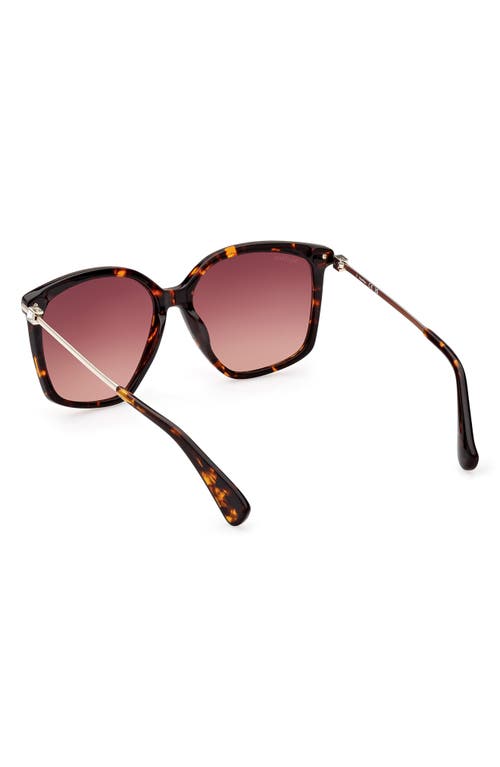 Shop Max Mara 56mm Gradient Geometric Sunglasses In Dark Havana/gradient Brown