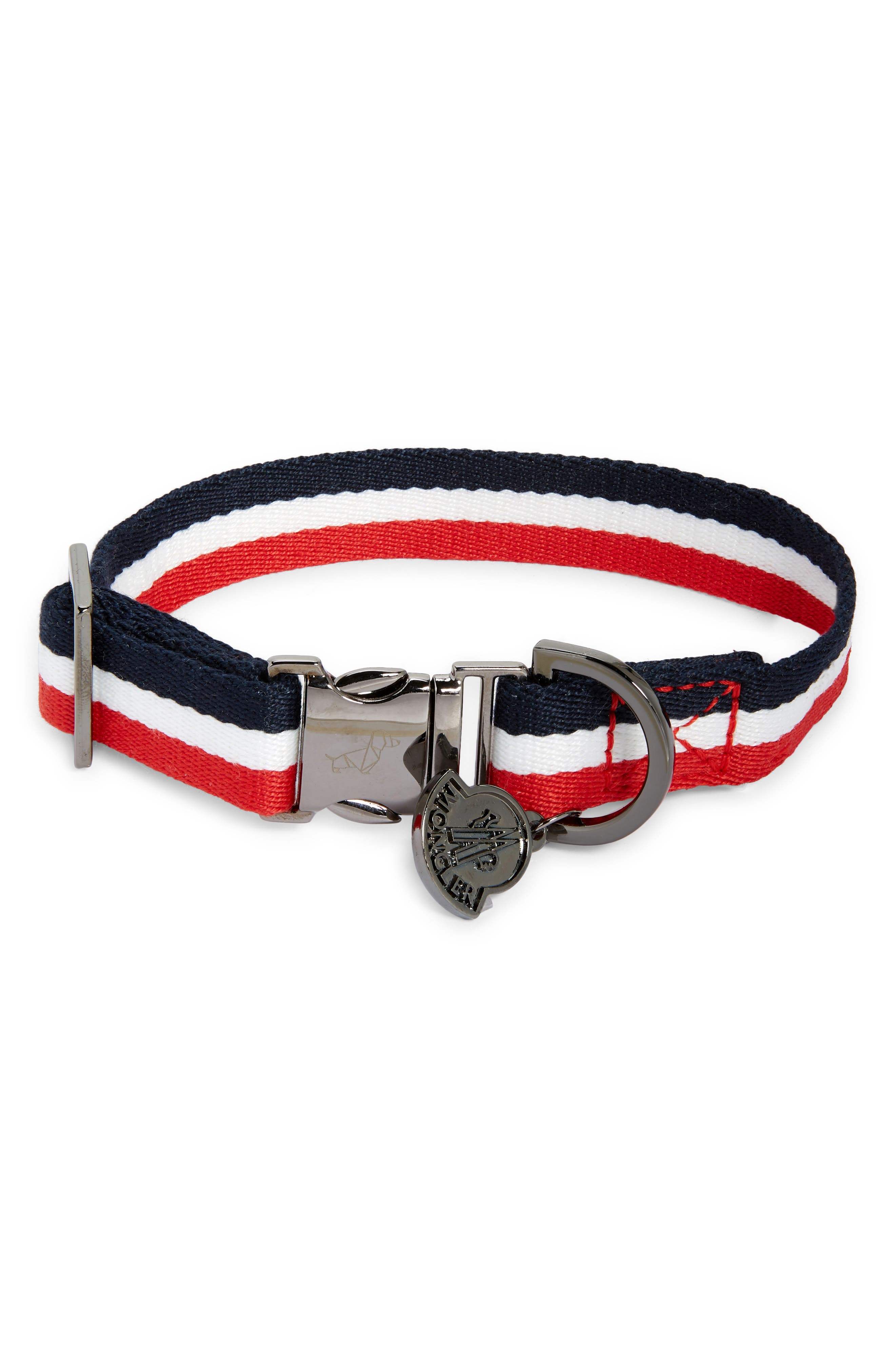 Personalized Dog Collar | Preppy Shark Dog Collar | Duke & Fox®