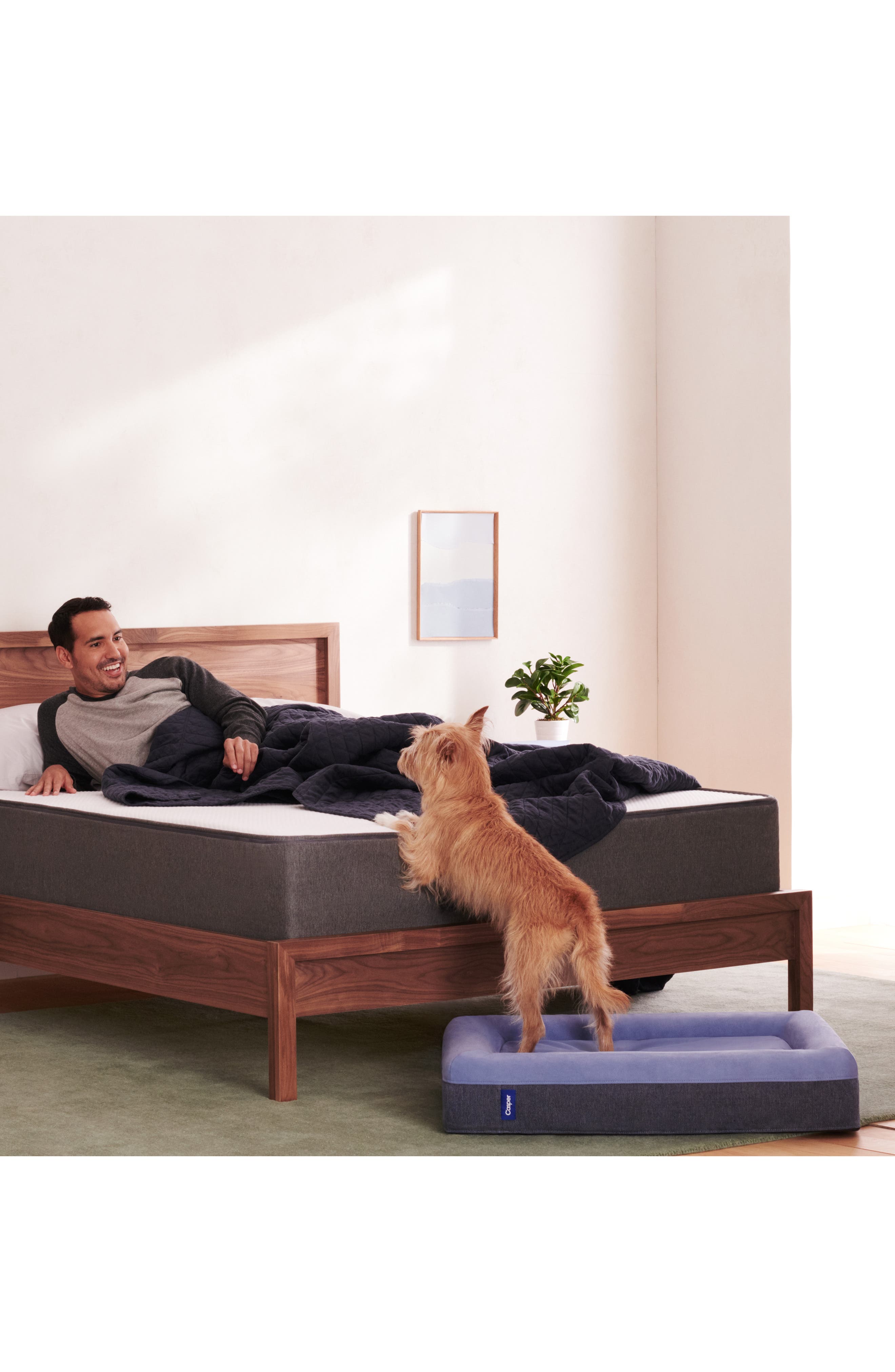 Casper Dog Bed Nordstrom