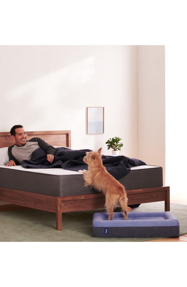 Casper Dog Bed Nordstrom