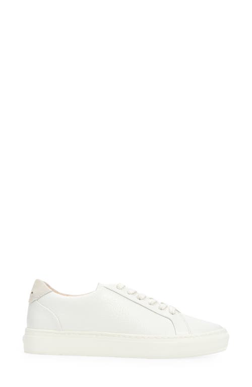 Shop Frankie4 Mim Iv Sneaker In White/suede