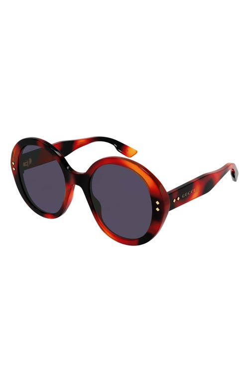 UPC 889652375304 product image for Gucci 54mm Round Sunglasses in Havana at Nordstrom | upcitemdb.com