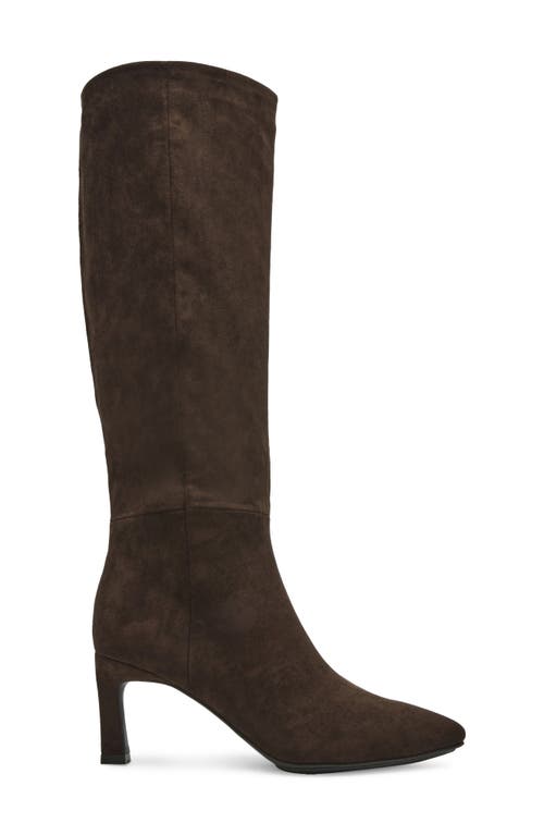 Shop Anne Klein Rene Pointed Toe Knee High Boot In Chocolate Suede