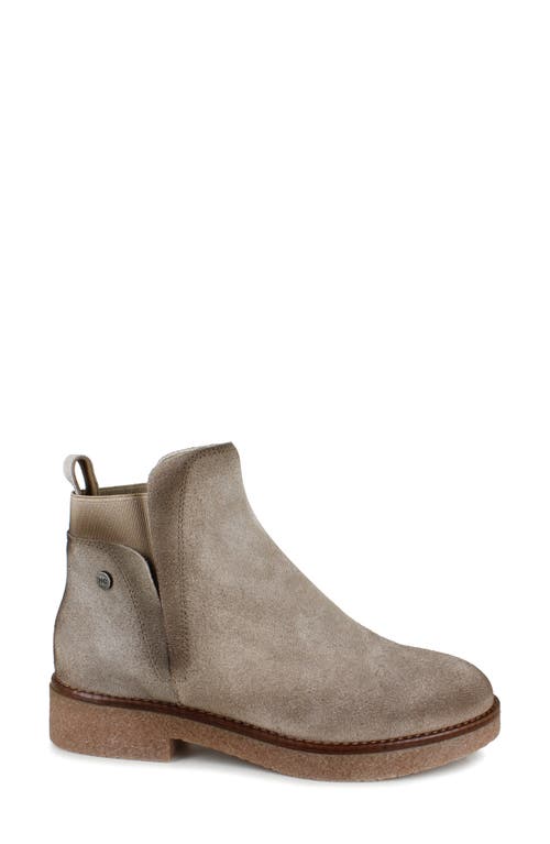Shop National Comfort Evita Bootie In Sand Suede