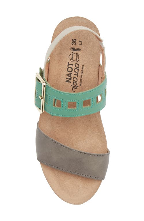 Shop Naot Dynasty Wedge Sandal In Grey/jade/ivory Leather