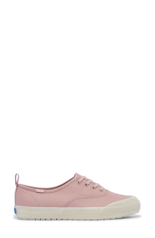 KEDS KEDS® CHAMPION TOE RAND SNEAKER
