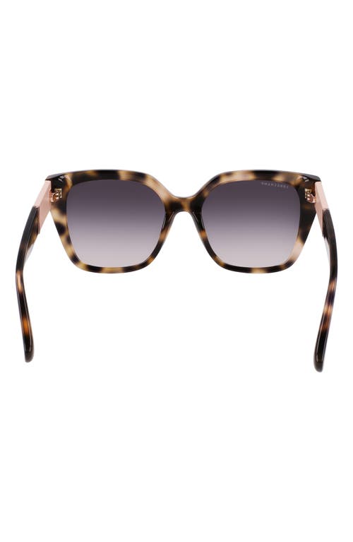 Shop Longchamp Roseau 54mm Butterfly Sunglasses In Havana