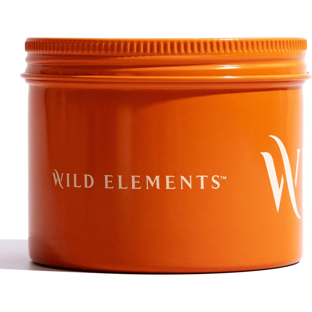 Wild Elements Natural Wonder Body Scrub In No Color