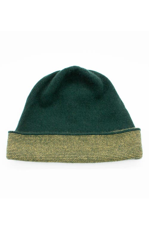 Portolano Fold Cuff Beanie In Forest/mustard