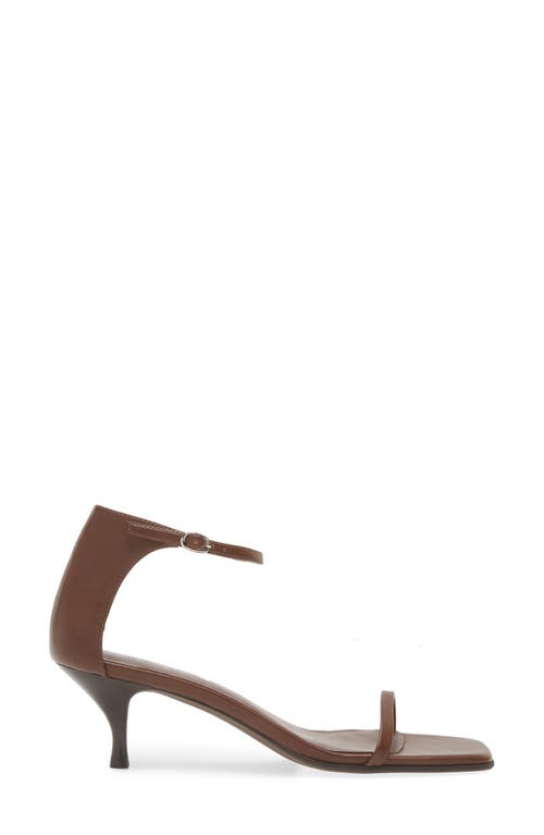 Shop Jeffrey Campbell Celina Kitten Heel Ankle Strap Sandal In Mid Brown