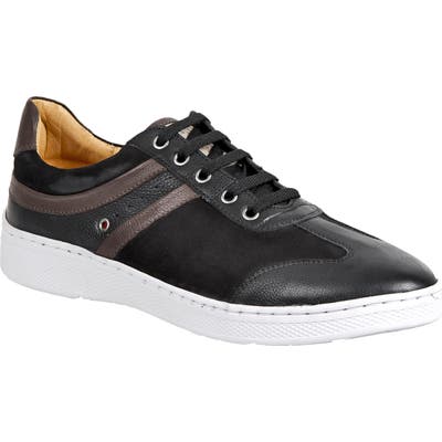 Sandro Moscoloni Toby Sneaker - Black