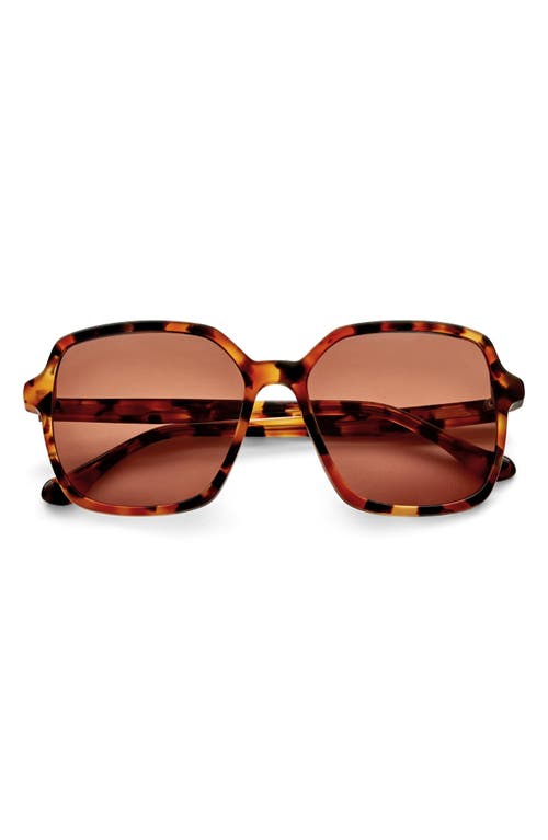 Gemma Styles Lake Shore Drive 55mm Rectangle Sunglasses in Tortoise