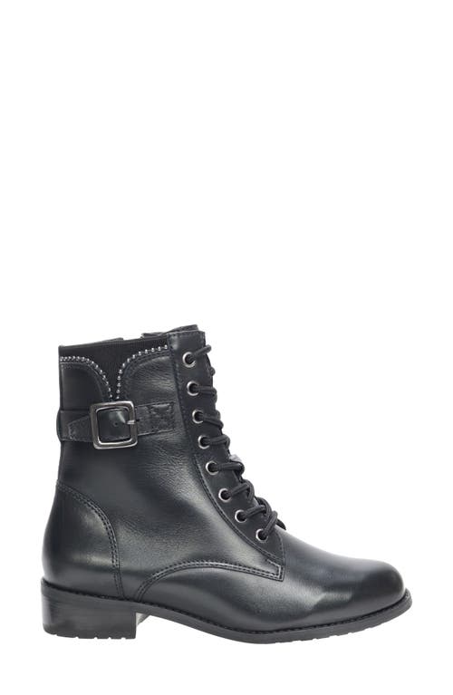David Tate College Bootie In Black Calf/croc