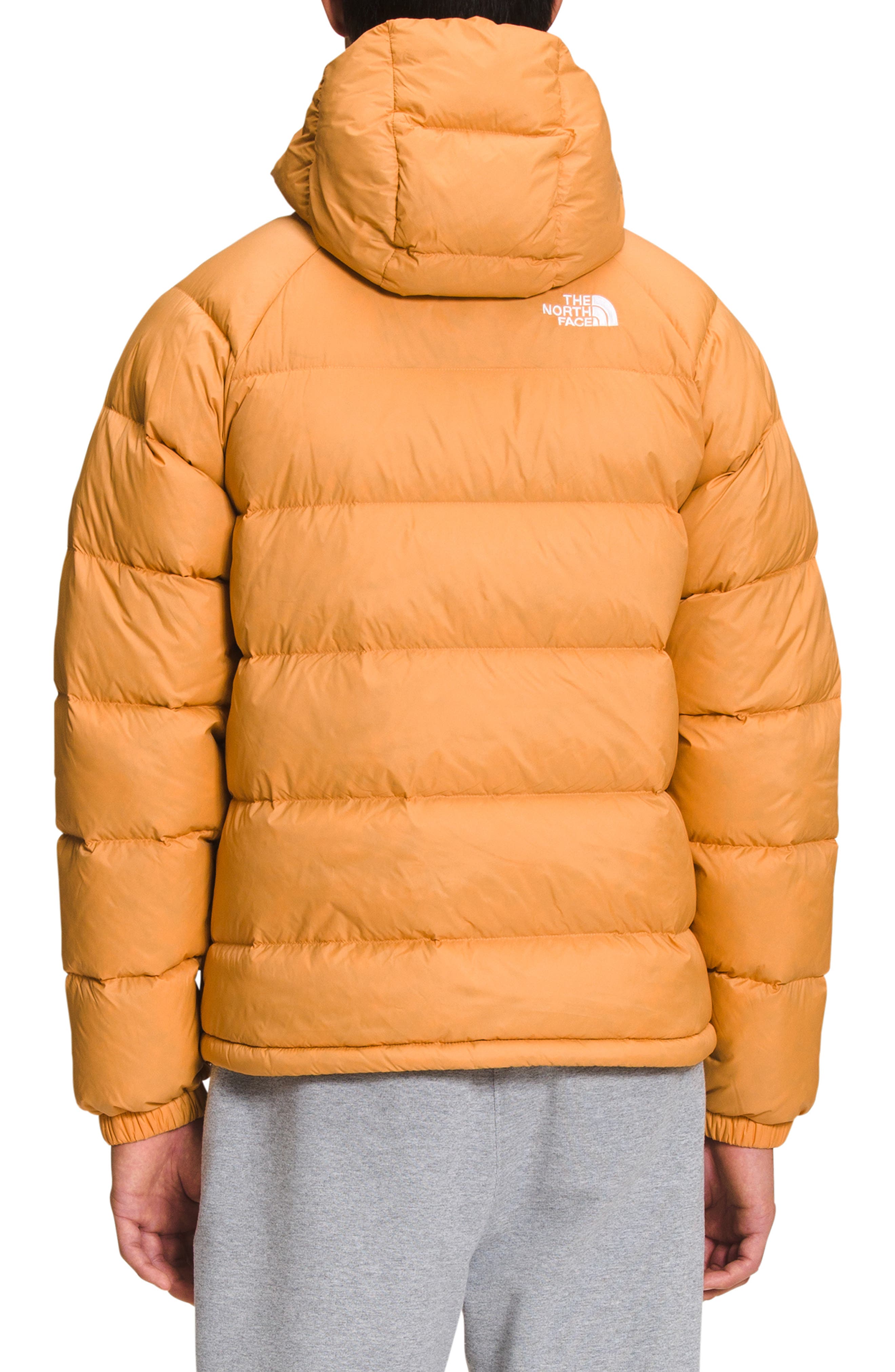 The North Face Hydrenalite 600 Fill Power Down Hooded Jacket
