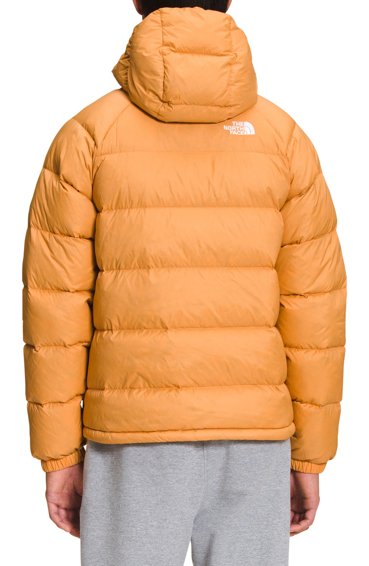 The North Face Hydrenalite 600 Fill Power Down Hooded Jacket ...