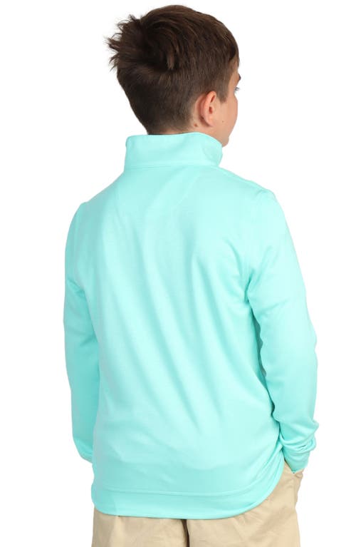 Tailorbyrd Kids' Modal Blend Quarter Zip Pullover In Mint