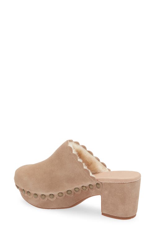 CHOCOLAT BLU CHOCOLAT BLU GARETH PLATFORM MULE