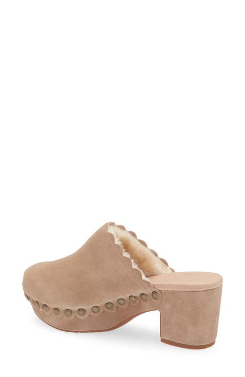 Shop Chocolat Blu Gareth Platform Mule In Latte Suede-shearling