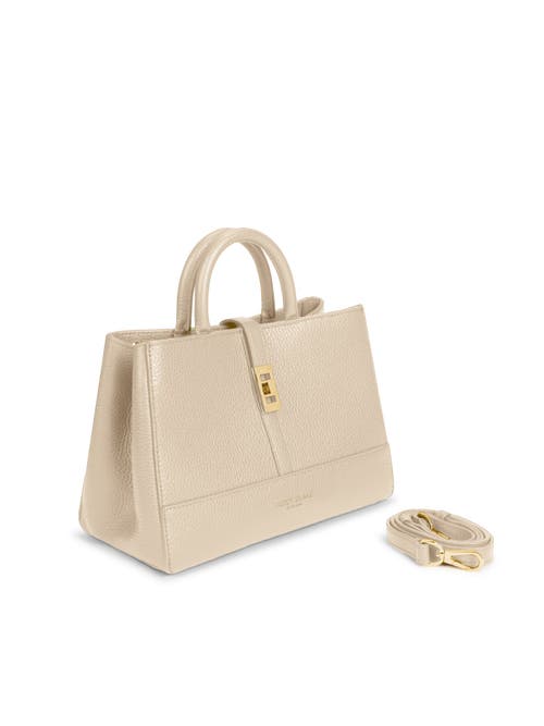 Shop Teddy Blake Lola Stampato 10" In Cream