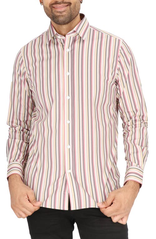 Scotch & Soda Modern Fit Stripe Stretch Cotton Dress Shirt In Pink Multi