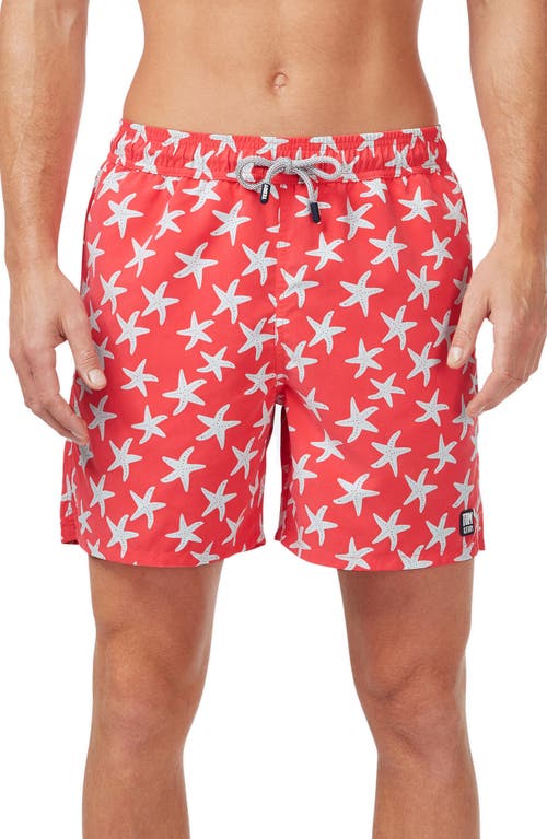 Tom & Teddy Starfish Print Swim Trunks Rose/Blue at Nordstrom,