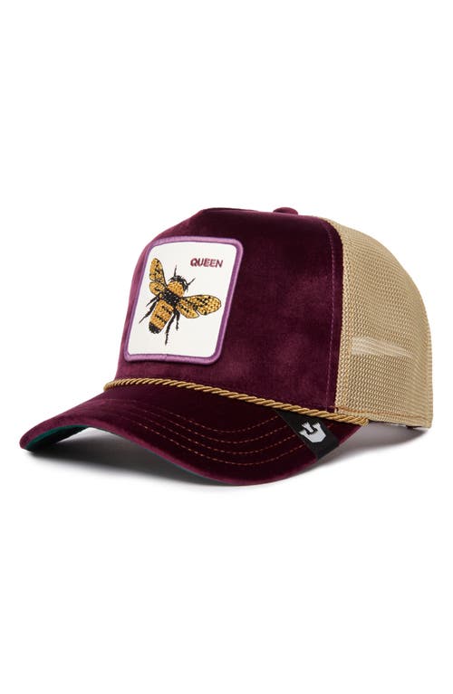 Goorin Bros. Amethyst Queen Satin Front Trucker Hat in Purple 