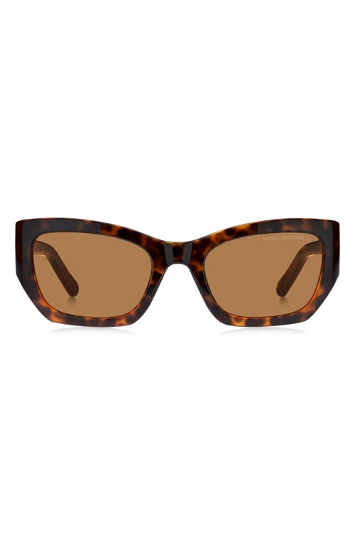 53mm Cat Eye Sunglasses in Havana/Brown